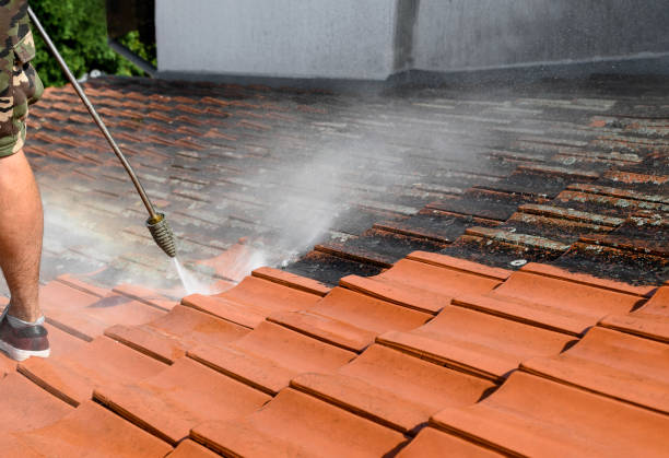 Best Local Pressure Washing Services  in Lebanon, KY