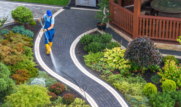 Best Roof Power Washing Services  in Lebanon, KY